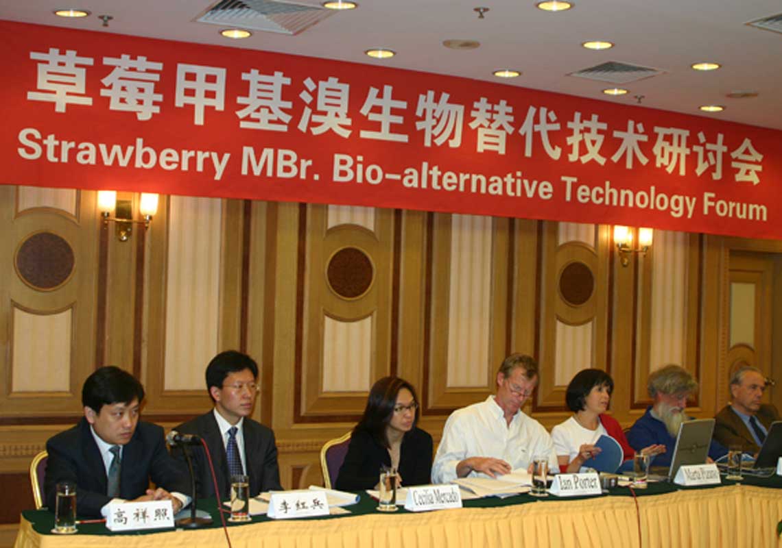 聯(lián)合國環(huán)境署、聯(lián)合國工發(fā)組織等機(jī)構(gòu)出席了我公司舉行的草莓甲基溴生物替代技術(shù)研討會