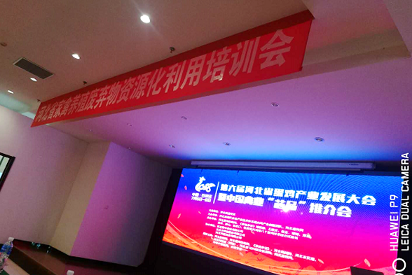 領先康地參加第六屆(2018)河北省蛋雞產業(yè)發(fā)展大會 暨中國禽業(yè)“芯品”推介會 領先康地參加第六屆(2018)河北省蛋雞產業(yè)發(fā)展大會 暨中國禽業(yè)“芯品”推介會